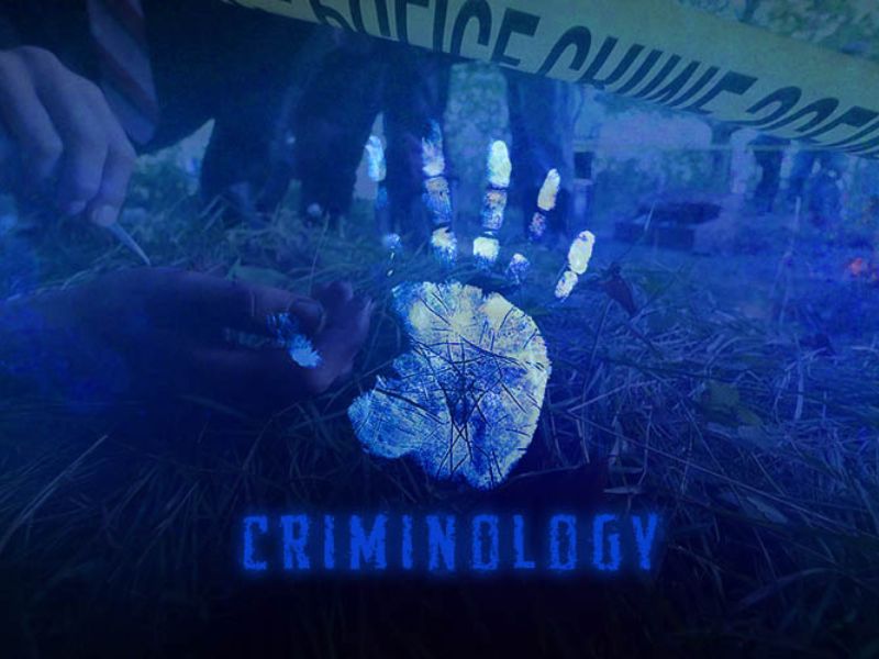 Accelerate Your Career with Criminology Courses
