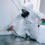 Pest Control and Its Types