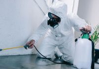 Pest Control and Its Types