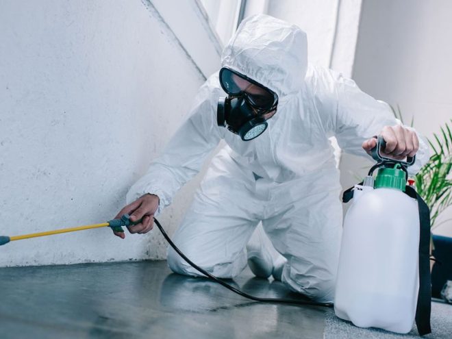 Read About Pest Control: Types, Benefits, And More Read About Pest Control: Types, Benefits, And More